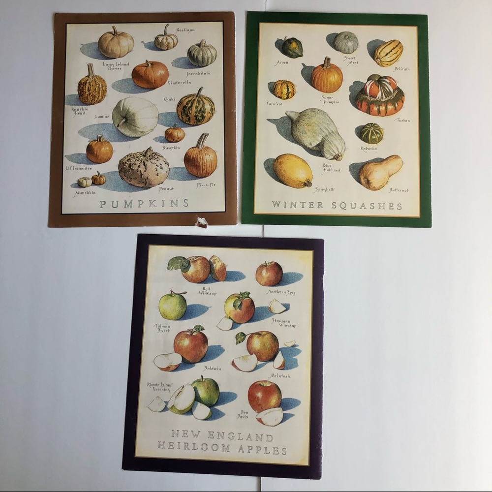 Pumpkins Heirloom Apples Winter Squash Cook’s Illustrated Kitchen Wall Art Print